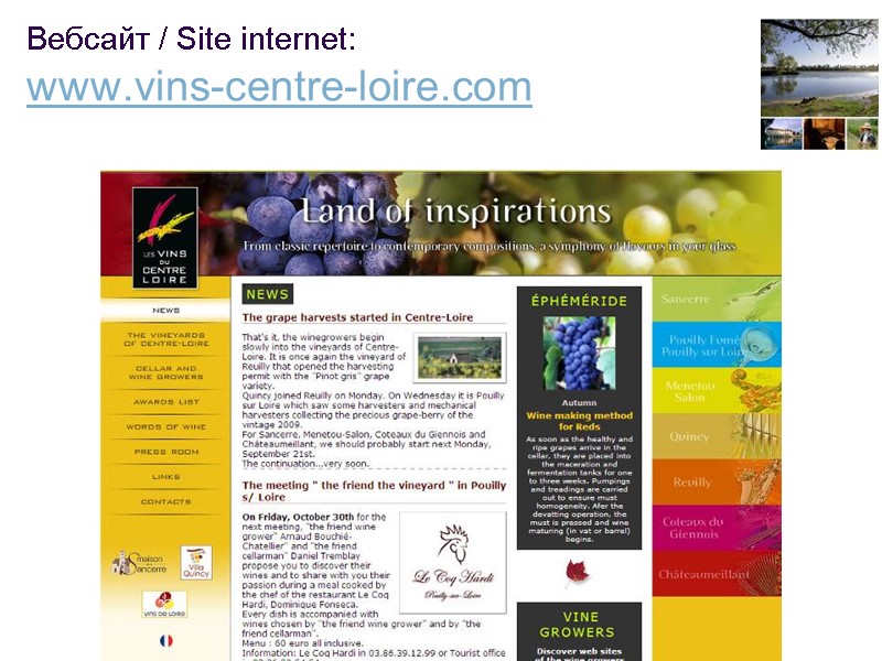 55 Вебсайт / Site internet:  www.vins-centre-loire.com